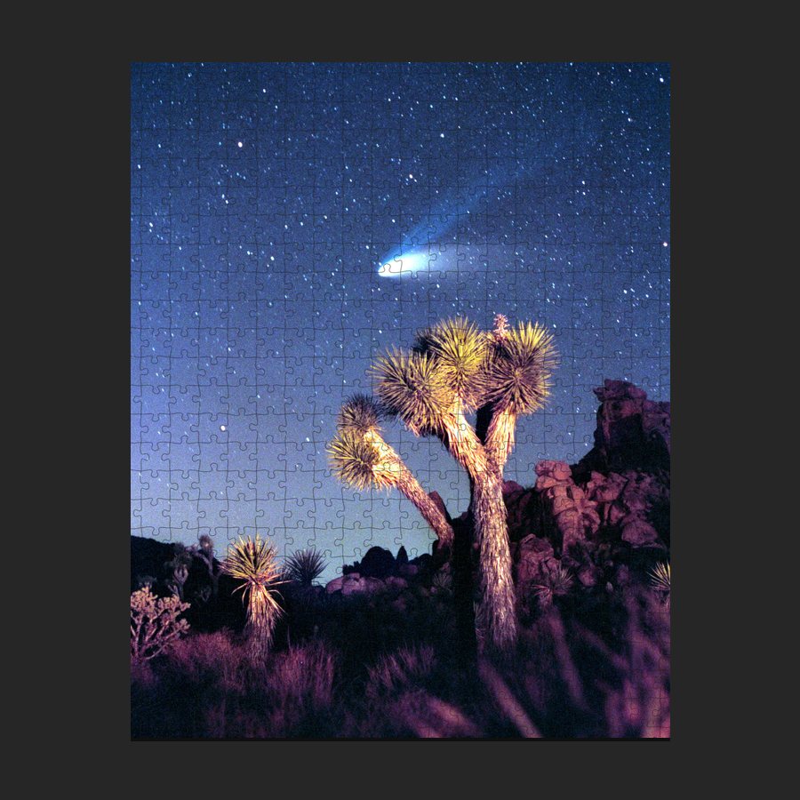 Comet Hale-Bopp over a Joshua Tree Puzzle